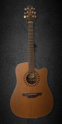 takamine ND15C