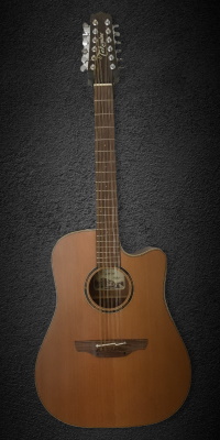 Takamine ETN10C-12